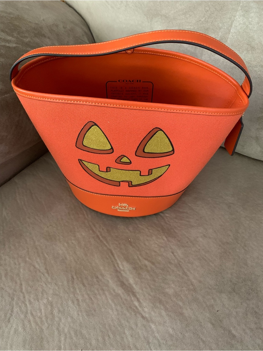 Coach Orange Canvas Jack-O'-Lantern Bucket Bag